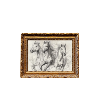 Horse Sketch- French Brass Inspired 8X10