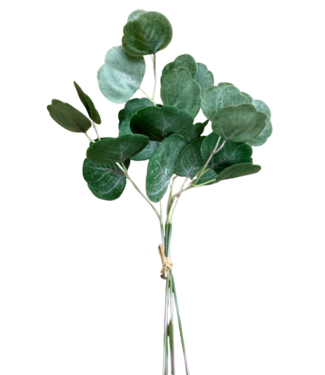 17" Fresh Touch Silver Dollar Eucalyptus