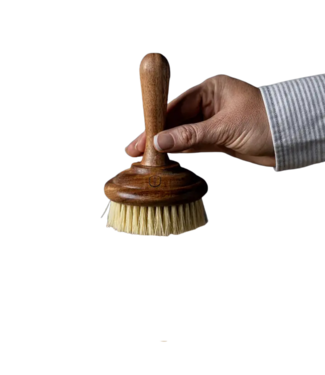 Dish Soap Scrub Brush