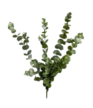 19" Fresh Touch Eucalyptus Bush
