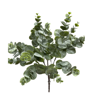 19" Green Eucalyptus Bush X3