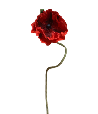 31" Red Poppy Stem