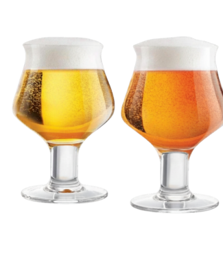 Craft Beer Glass