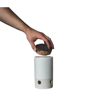 Garlic Keeper/Garlic Pot