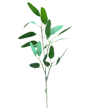 30" Green Eucalyptus Spray