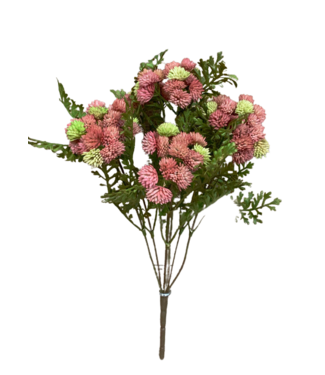 16" Green Pink Sedum Cluster