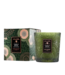 Voluspa Temple Moss Classic Candle