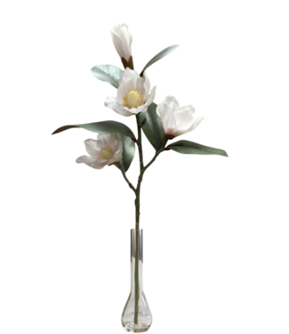 26" Fresh Touch Magnolia Spray