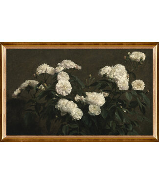 Still Life Of White Roses