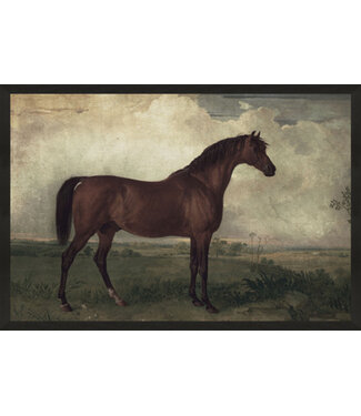 25x37 Vintage Horse