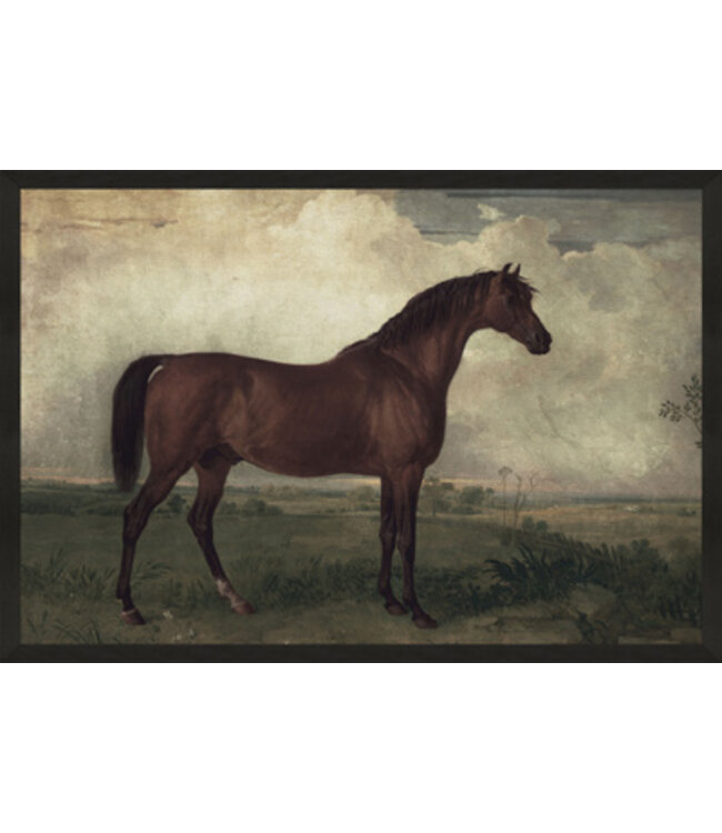 25x37 Vintage Horse