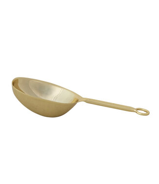 Stainless Steel Scoop