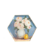 Hexagon Enameled Metal Tray