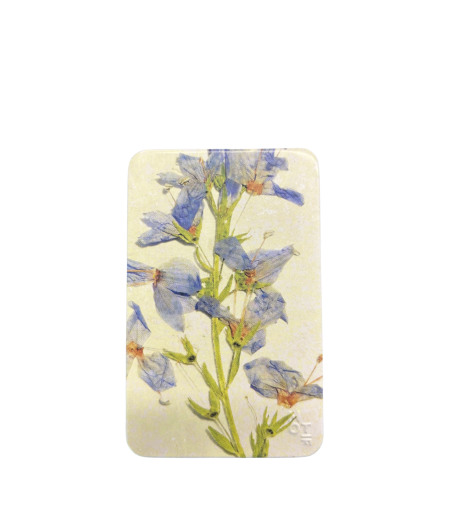 Vintage Blooms Mints