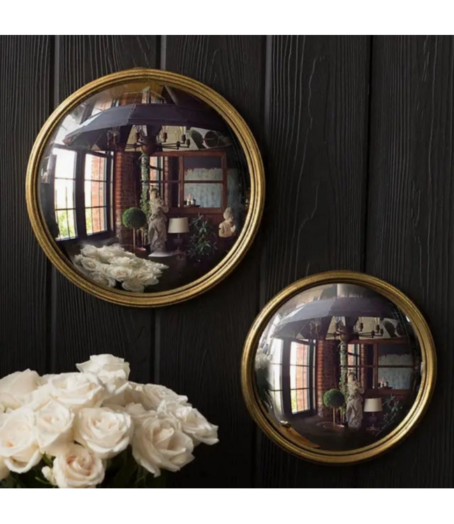 Bull Convex Mirror