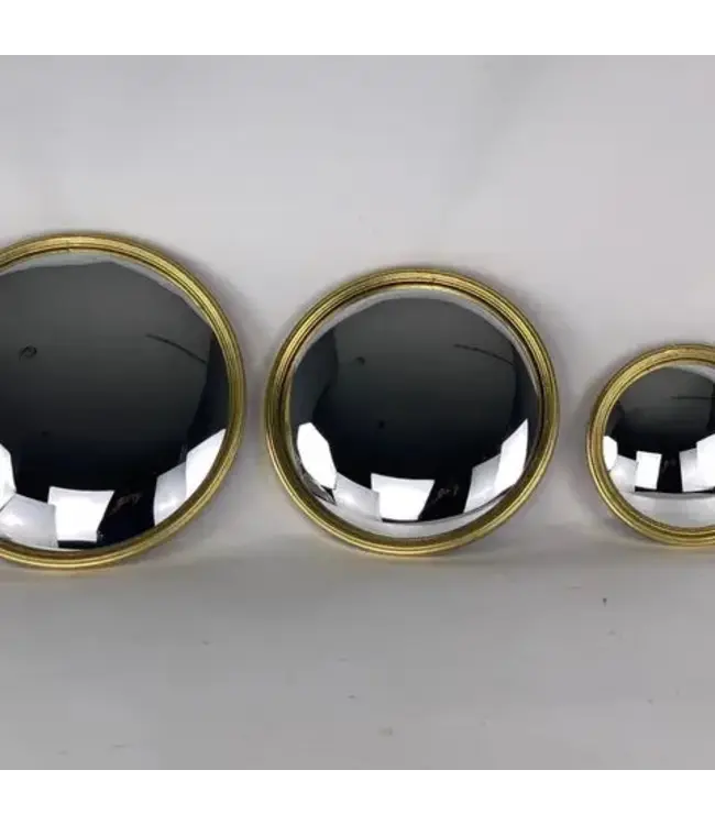 Bull Convex Mirror
