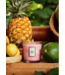 Voluspa Napali Passion Fruit Classic Candle