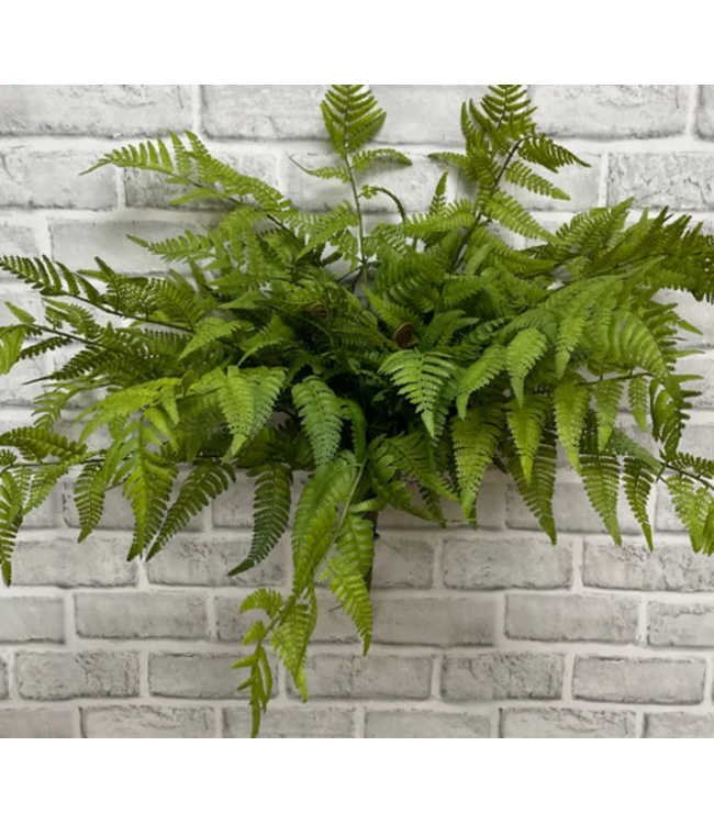 22" Fresh Touch Lacy Tree Fern Bush