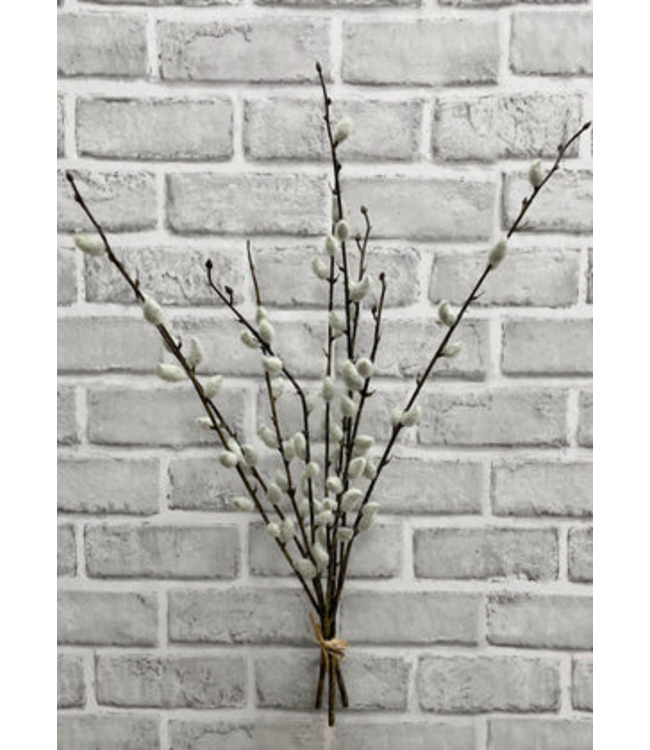 21.5" Pussy Willow Bundle