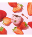 Honeybalm Honeybalm Lipbalm