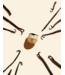 Honeybalm Honeybalm Lipbalm