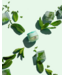 Honeybalm Honeybalm Lipbalm