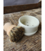 Brush Holder