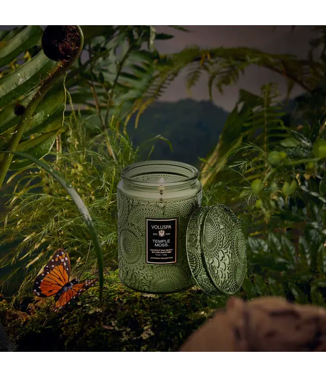 Voluspa Temple Moss Small Jar