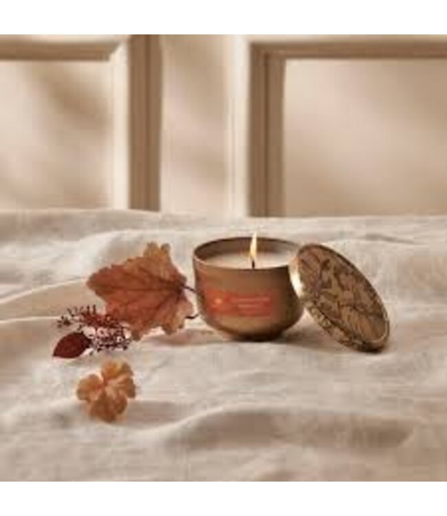 Thymes Pumpkin Laurel 6.5oz Universal tin candle