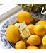 Thymes Lemon Leaf Pura Diffuser Refill
