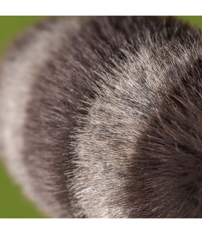 Jellycat Trixiwoo Raccoon