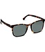 Peepers Mateo Polarized Sun- Tortoise +0.00