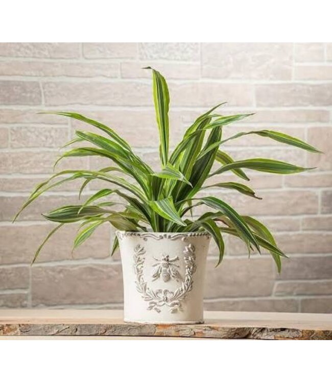 Large Emboss Bee in Crest Planter