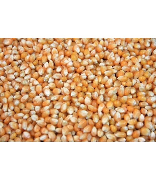 Schneiders Gourmet World Gourmet Seed