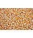 Schneiders Gourmet World Gourmet Seed