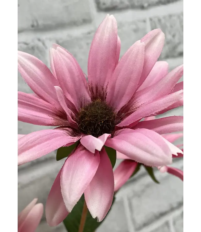 32.5 Black Eye Susan Stem