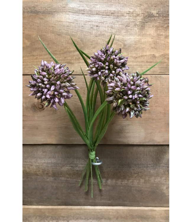 11" Allium Grass Bundle