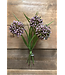 11" Allium Grass Bundle