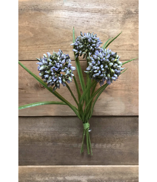 11" Allium Grass Bundle