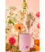 Chill Mama - Mama To Be Tea Collection