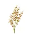 Indaba Wild Orchid Spray