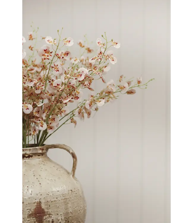 Indaba Wild Orchid Spray
