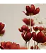 Indaba Calliopsis Spray