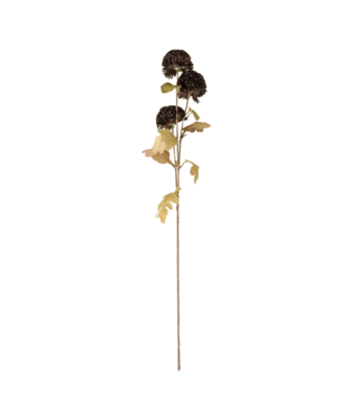 Indaba Pom Pom Floral Spray, Midnight