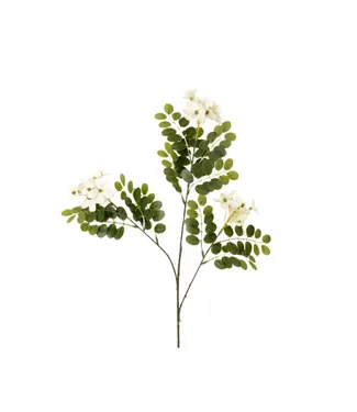 Indaba Locust Flower Branch