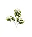 Indaba Locust Flower Branch