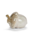 White Acorn