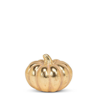 XS Golden Classic Pumpkin