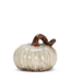 Pumpkin-Ivory