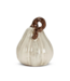 Pumpkin-Ivory